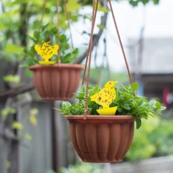 Klistret fælde til skadedyr på stueplanter 48-pak Yellow Yellow
