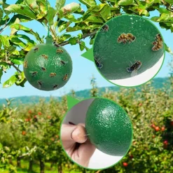 4-pak fluekugle frugtflue citrus stor frugtflue klæbrig bord frugtfluebold frugtbutik frugtflue sticky needle bifælde (gul + grøn)