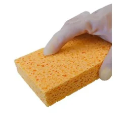Svamp, køkkensvampe, praktiske svampe, cellulosesvampe, opvaskesvamp, natursvamp, bilvaskesvamp, miljøvenlig svamp